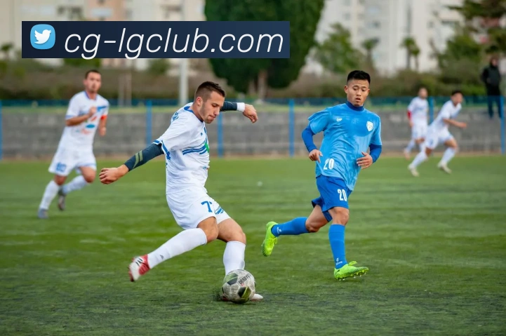 老哥俱乐部官网平台生态图