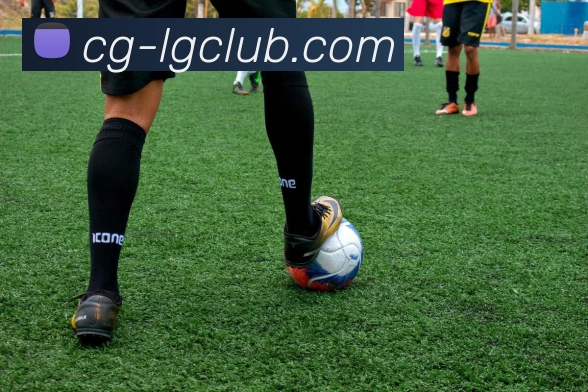 老哥俱乐部官网APP 封面图